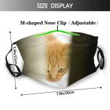 yanfind Isolated Fur Young Cat Kitty Cute Ginger Beautiful Pretty Pet Tabby Portrait Dust Washable Reusable Filter and Reusable Mouth Warm Windproof Cotton Face