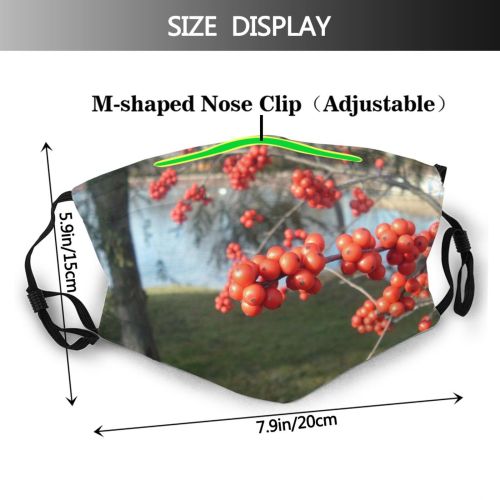 yanfind Hawthorn Plant Pond Berry Tree Tree Rowan Plant Hawthorn Berry Fruit Woody Dust Washable Reusable Filter and Reusable Mouth Warm Windproof Cotton Face