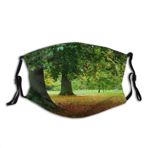 yanfind Sky Bushes Natural Autumn Woody Fallen Landscape Fall Stream Leaf Leaf Tree Dust Washable Reusable Filter and Reusable Mouth Warm Windproof Cotton Face