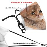 yanfind Isolated Whisker Young Cat British Cute Shorthair Grey Pedigree Pretty Pet Fluffy Dust Washable Reusable Filter and Reusable Mouth Warm Windproof Cotton Face