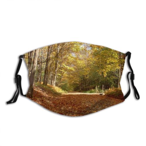 yanfind Natural Autumn Leaves Landscape York Fall Road Forest Hardwood Leaf Northern Tree   Dust Washable Reusable Filter and Reusable Mouth Warm Windproof Cotton Face