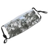 yanfind Winter Frost Heritage Spruce Winter Woody Plant Branch Shortleaf Snow Olsztynek Tree Dust Washable Reusable Filter and Reusable Mouth Warm Windproof Cotton Face