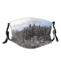 yanfind Winter Forest Snow Landscape Tree Forest Winter Natural Freezing Snow Atmospheric Wilderness Dust Washable Reusable Filter and Reusable Mouth Warm Windproof Cotton Face