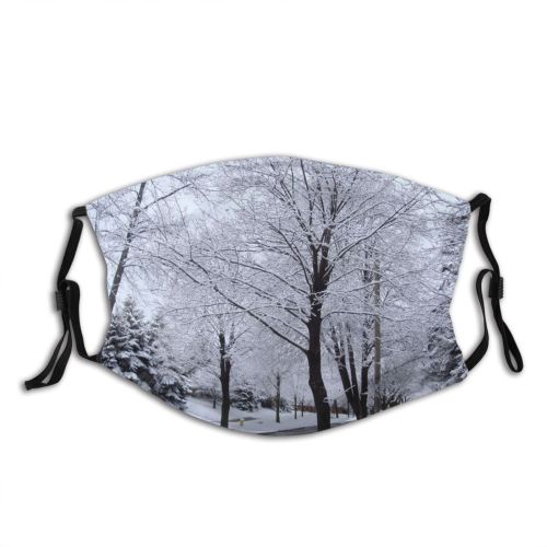 yanfind Winter Winter Michigan Woody Sky Plant Branch Snow Tree Frost Trees Plant Dust Washable Reusable Filter and Reusable Mouth Warm Windproof Cotton Face