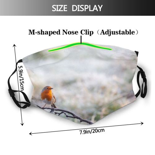 yanfind Europe Frost Passerine Wild Bird Snow Robin Perching Focus Space Wildlife UK Dust Washable Reusable Filter and Reusable Mouth Warm Windproof Cotton Face