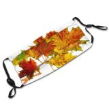 yanfind Maple Autumn Woody Leaves Maple Plant Fall Decoration Flowering Leaf Leaf Tree Dust Washable Reusable Filter and Reusable Mouth Warm Windproof Cotton Face