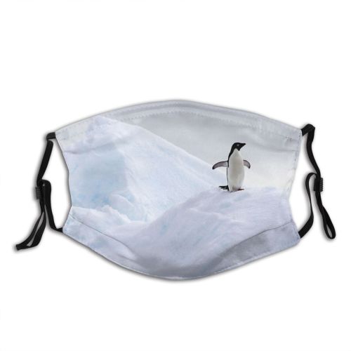 yanfind Ice Penguin Environmental Wild Freedom Polar Scene Ocean Antarctic Wildlife Change Antarctica Dust Washable Reusable Filter and Reusable Mouth Warm Windproof Cotton Face