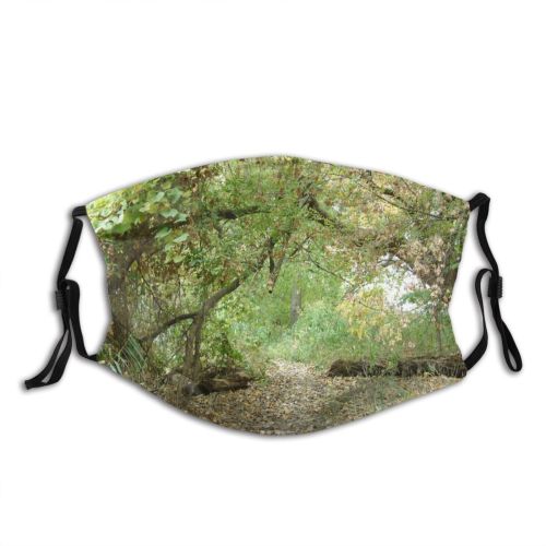 yanfind Community Leaves Forest Vegetation Landscape Plant Fall Tree Forest Woods Natural Pathway Dust Washable Reusable Filter and Reusable Mouth Warm Windproof Cotton Face