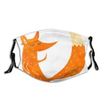 yanfind Crazy Artwork Cute Fox Old Colorful Quirky Art Watercolor Retro Drawn Funny Dust Washable Reusable Filter and Reusable Mouth Warm Windproof Cotton Face