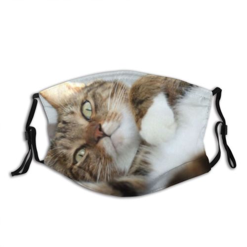 yanfind Lay Fur Stripe Striped Cat Cute Lazy Open Muzzle Calm Sleepy Face Dust Washable Reusable Filter and Reusable Mouth Warm Windproof Cotton Face