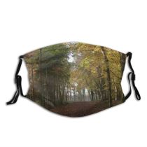 yanfind Temperate Natural Autumn Landscape Broadleaf Forest Hardwood Leaf Northern Tree Forest Deciduous Dust Washable Reusable Filter and Reusable Mouth Warm Windproof Cotton Face