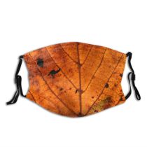 yanfind Dead Texture Maple Wood Golden Leaves Plant Grunge Leaf Decay Leaf Tree Dust Washable Reusable Filter and Reusable Mouth Warm Windproof Cotton Face