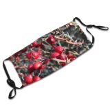 yanfind Flowering Rose Hip Hawthorn Plant Berry Tree Plant Fruit Hawthorn Plants Woody Dust Washable Reusable Filter and Reusable Mouth Warm Windproof Cotton Face
