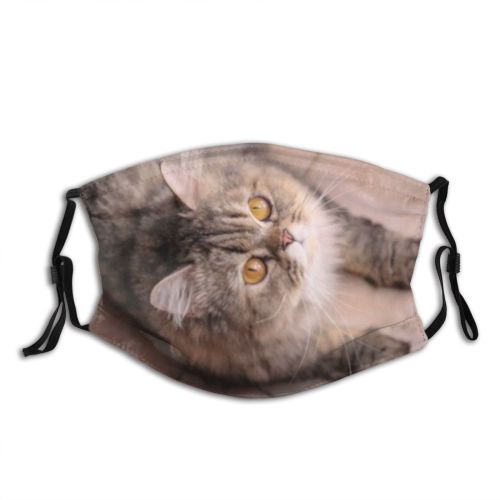 yanfind Lovely Fur Young Little Cat Cute Still Wood Soft Charming Beautiful Pretty Dust Washable Reusable Filter and Reusable Mouth Warm Windproof Cotton Face