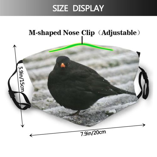 yanfind Winter Vertebrate Garden Bird Bird Blackbird Blackbird Wildlife Beak Perching Dust Washable Reusable Filter and Reusable Mouth Warm Windproof Cotton Face
