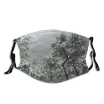 yanfind Winter Winter Atmospheric Woody Landscape Vegetation Branch Snow Tree Frost Alicante Spain Dust Washable Reusable Filter and Reusable Mouth Warm Windproof Cotton Face