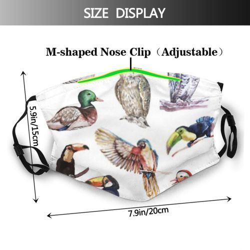 yanfind Isolated Garden Bird Picture Little Cute Feather Colorful Ornithology Wildlife Summer Wings Dust Washable Reusable Filter and Reusable Mouth Warm Windproof Cotton Face