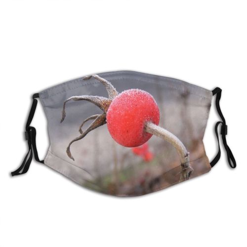 yanfind Rose Macro Plant Stem Rosa Plants Fruit Canina Hip Flower Dust Washable Reusable Filter and Reusable Mouth Warm Windproof Cotton Face