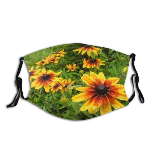 yanfind Plant Annual Flower Flower Coneflower Plant Susan Daisy Family Poland Eyed Flowers Dust Washable Reusable Filter and Reusable Mouth Warm Windproof Cotton Face