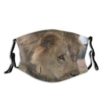 yanfind Winter Felidae Big Impressed King Masai D Lion Tragic Whiskers Vertebrate Cats Dust Washable Reusable Filter and Reusable Mouth Warm Windproof Cotton Face