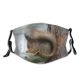 yanfind Winter Vertebrate Tail Squirrel Eurasian Fox Organism Tree Squirrel Tree Douglas' Fawn Dust Washable Reusable Filter and Reusable Mouth Warm Windproof Cotton Face