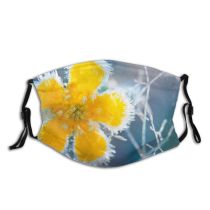 yanfind Frost Fragility Frozen Buttercup Foreground Freshness Flower Focus Finland Temperature Growth Winter Dust Washable Reusable Filter and Reusable Mouth Warm Windproof Cotton Face