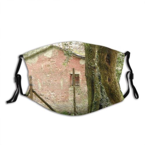 yanfind Flower Area Woody Rural Genoa Plant Branch Houses Leaf Stone Cyclamin Tree Dust Washable Reusable Filter and Reusable Mouth Warm Windproof Cotton Face