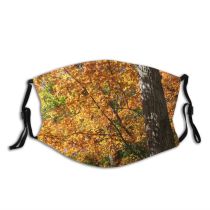 yanfind Temperate September Autumn Woody October Leaves Fall Broadleaf Forrest Leaf Forest Hardwood Dust Washable Reusable Filter and Reusable Mouth Warm Windproof Cotton Face
