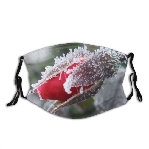 yanfind Winter Impressions Macro Leaf Plant Bud Frost Winter Freezing Snow Plants Flower Dust Washable Reusable Filter and Reusable Mouth Warm Windproof Cotton Face
