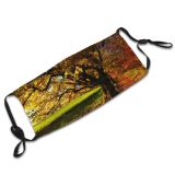 yanfind Idyllic Autumn Foliage Sunset Trail Mood Field Road Forest Promenade Leaves Grass Dust Washable Reusable Filter and Reusable Mouth Warm Windproof Cotton Face