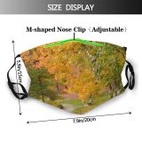 yanfind Temperate Path Natural Autumn Woody Colours Landscape Promenade Plant Broadleaf Forest Leaf Dust Washable Reusable Filter and Reusable Mouth Warm Windproof Cotton Face
