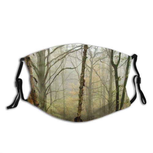 yanfind Natural Atmospheric Autumn Growth Woody Netherlands Leaf Forest Hardwood Northern Tree Tree Dust Washable Reusable Filter and Reusable Mouth Warm Windproof Cotton Face