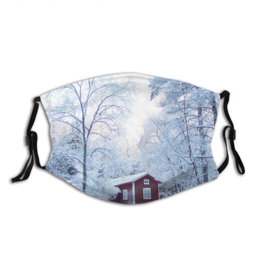 yanfind Winter Sweden Home Winter Twilight Woody Sky Branch Snow Tree Frost Bergslagen Dust Washable Reusable Filter and Reusable Mouth Warm Windproof Cotton Face