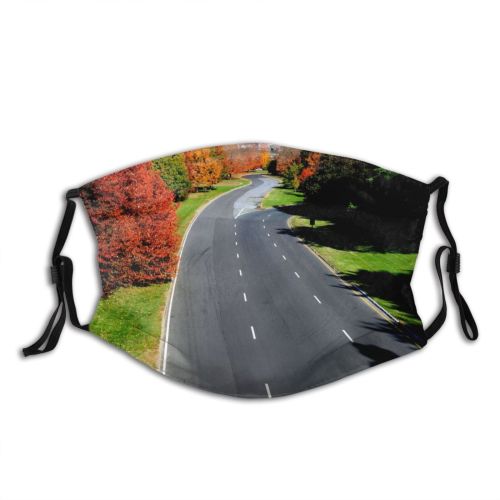 yanfind Thoroughfare Natural Highway Asphalt Landscape Fall Road Leaf Sunshine Tree Autumn Road Dust Washable Reusable Filter and Reusable Mouth Warm Windproof Cotton Face