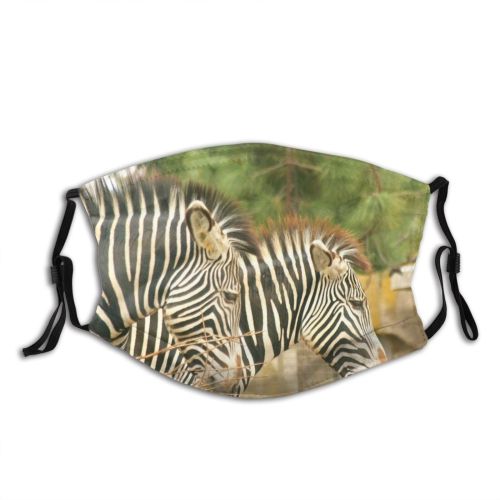 yanfind Zebra Zebras Mammals Snout Stripes Organism Eye Adaptation Zebra Terrestrial Wildlife Dust Washable Reusable Filter and Reusable Mouth Warm Windproof Cotton Face
