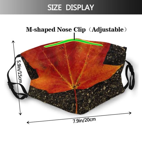 yanfind Falls Maple Autumn Sad Sadness Woody Leaves Maple Plant Fall Plane Street Dust Washable Reusable Filter and Reusable Mouth Warm Windproof Cotton Face