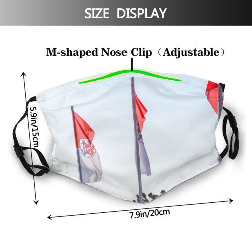 yanfind Built Break Lion Structure Urban Headwear Destinations History Cities Crown Famous German Dust Washable Reusable Filter and Reusable Mouth Warm Windproof Cotton Face