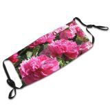 yanfind Plant Centifolia Summer June Flower Rosa Flower Plant Family Beautiful × Flowers Dust Washable Reusable Filter and Reusable Mouth Warm Windproof Cotton Face
