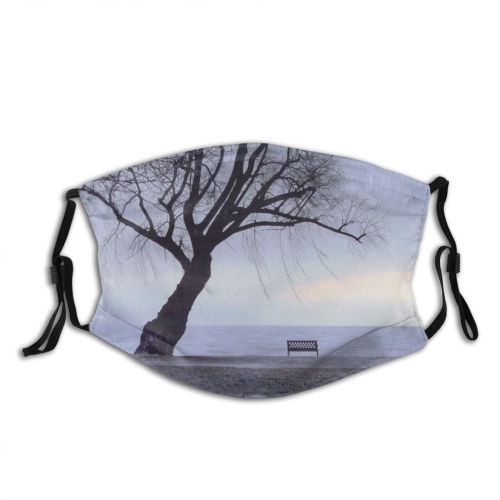 yanfind Landscape Sky Tree Branch Plant Natural Winter Atmospheric Freezing Snow Woody Dust Washable Reusable Filter and Reusable Mouth Warm Windproof Cotton Face
