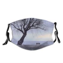 yanfind Landscape Sky Tree Branch Plant Natural Winter Atmospheric Freezing Snow Woody Dust Washable Reusable Filter and Reusable Mouth Warm Windproof Cotton Face