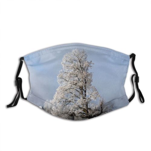 yanfind Winter Frost Winter Natural Woody Cloud Landscape Sky Plant Ice Snow Limetree Dust Washable Reusable Filter and Reusable Mouth Warm Windproof Cotton Face