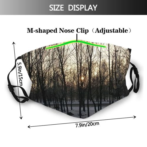 yanfind Pinery Scenery Fir Spruce Winter Woody Sky Plant Wood Shortleaf Spruce Snow Dust Washable Reusable Filter and Reusable Mouth Warm Windproof Cotton Face