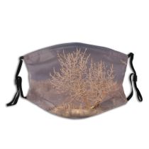 yanfind Winter Frost Winter Atmospheric Sun Sky Branch Snow Saskatchewan Twig Tree Tree Dust Washable Reusable Filter and Reusable Mouth Warm Windproof Cotton Face