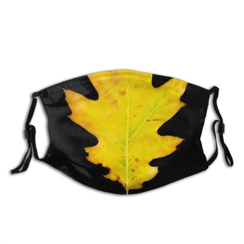 yanfind Maple Autumn Woody Leaves Maple Calm Fall Autumnal Plant Wood Plane Leaf   Dust Washable Reusable Filter and Reusable Mouth Warm Windproof Cotton Face