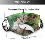 yanfind Brothers Garden Mother Little Cat Kitty Cute Wildlife Nursing Stray Autumn Feed Dust Washable Reusable Filter and Reusable Mouth Warm Windproof Cotton Face