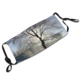 yanfind Winter Frost Landscape Sky Tree Tree Plant Branch Winter Natural Freezing Sun Dust Washable Reusable Filter and Reusable Mouth Warm Windproof Cotton Face