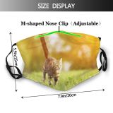 yanfind Happiness Fur Young Life Striped Cat Sunlight Cute Feather Summer Cheerful Meadow Dust Washable Reusable Filter and Reusable Mouth Warm Windproof Cotton Face