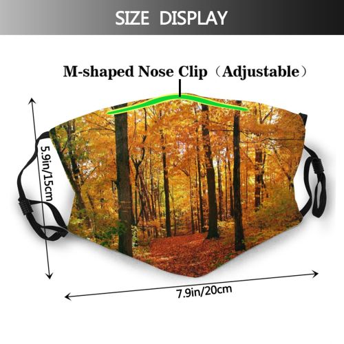 yanfind Temperate Tranquil Sky Natural Idyllic Beauty Sun Autumn Branches Happiness Leaves Landscape   Dust Washable Reusable Filter and Reusable Mouth Warm Windproof Cotton Face