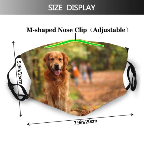 yanfind Forrest Canidae Dog Golden Sporting Dog Vertebrate Carnivore Golden Autumn Dust Washable Reusable Filter and Reusable Mouth Warm Windproof Cotton Face