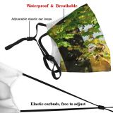 yanfind Leaf Trees Plant Sky Tree Tree Branch Plant Botany Autumn Autumn Woody Dust Washable Reusable Filter and Reusable Mouth Warm Windproof Cotton Face